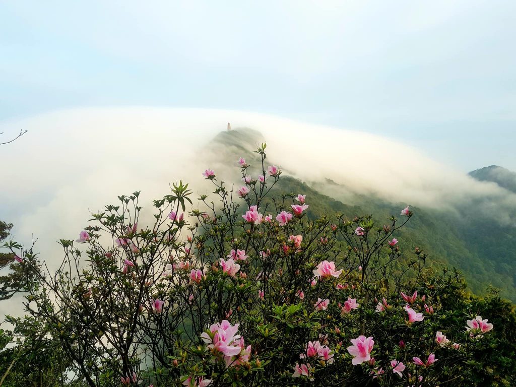 Mây và núi tại vườn Quốc gia Ba Vì